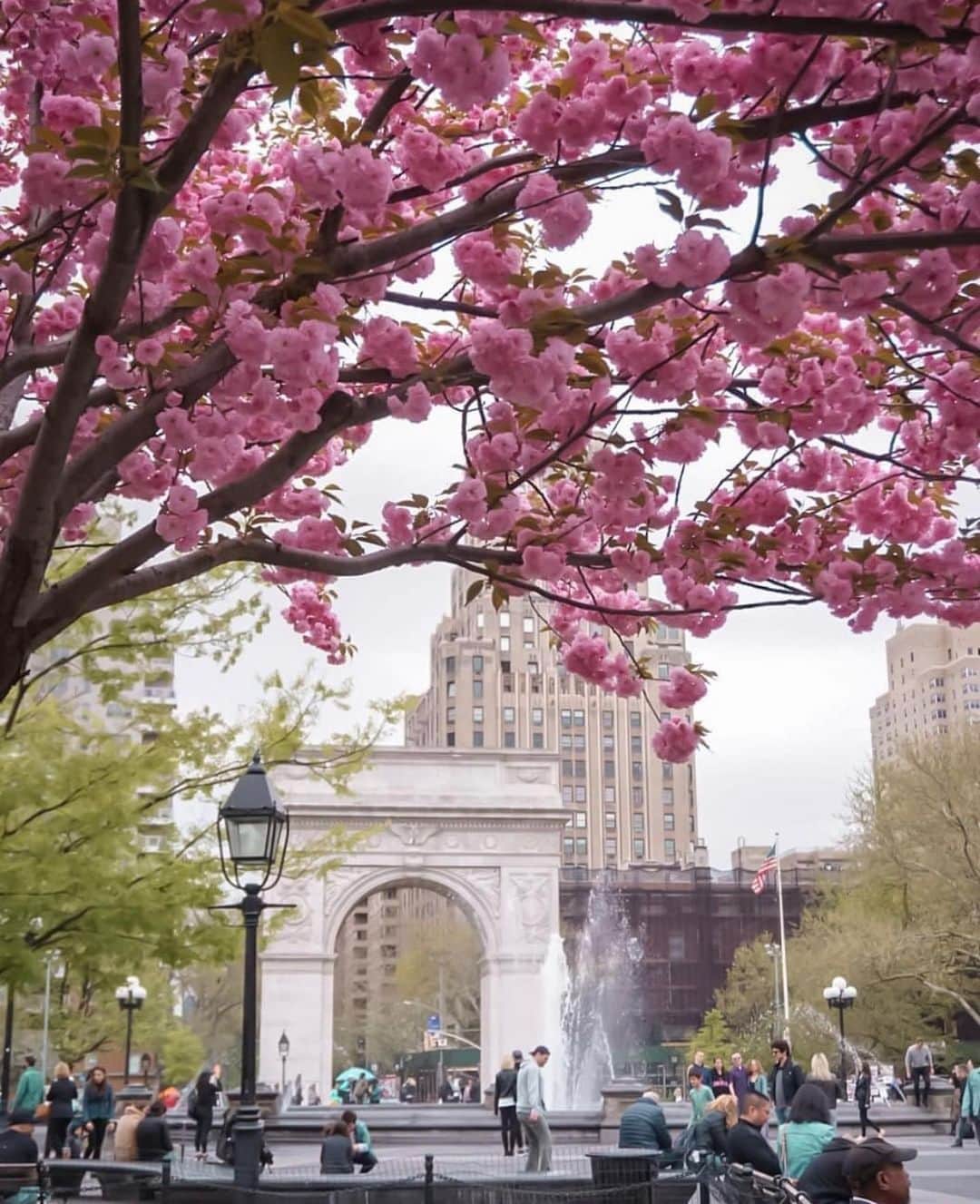 のインスタグラム：「Spring in Washington Square Park captured by @frabjous_existence via @nycgo  #bondno9 #bondno9ny #newyork #newyorkcity washingtonsquarepark #greenwichvillage #nyc #fragrance #perfume #love」