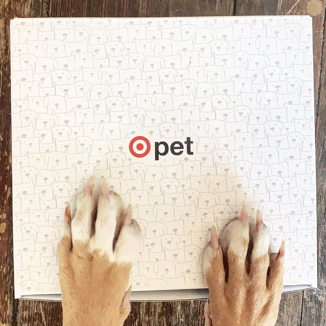 Targetさんのインスタグラム写真 - (TargetInstagram)「Time to get your paws on our Target Pet Boxes! Surprise your fur baby with a $10 sampling of stand-out pet products via link in bio. 🐶 🐱」5月7日 4時34分 - target