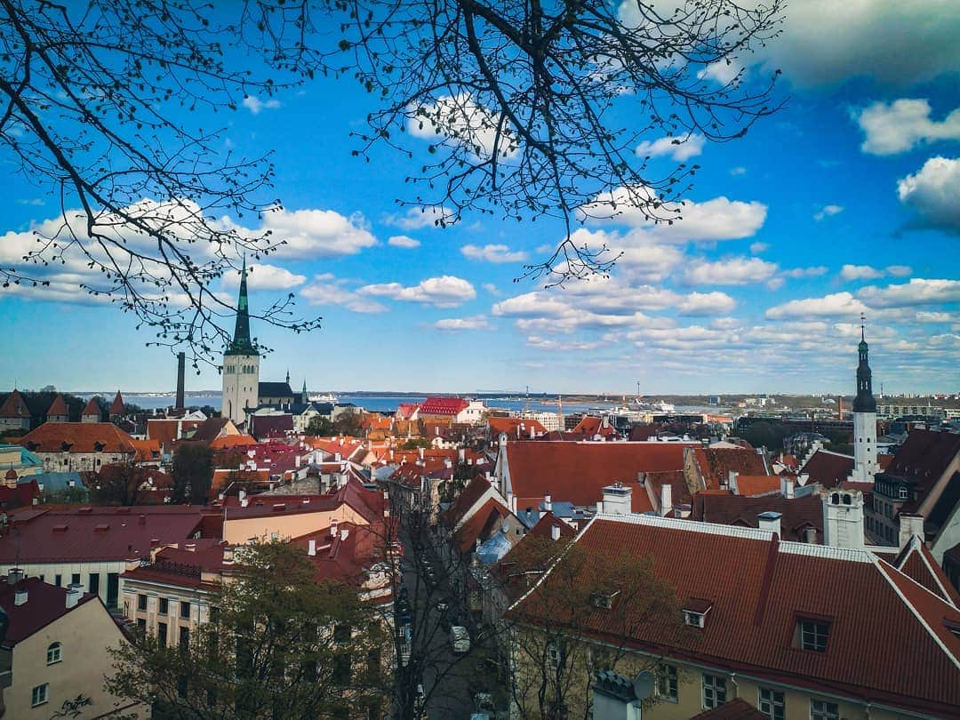 パヴェル・ドローストさんのインスタグラム写真 - (パヴェル・ドローストInstagram)「📍Tallinn - Столица Эстонии 🇪🇪 ___  Знали ли вы,что, по разным данным, у эстонской столицы около 50 названий?💭 Одно из них - "Ревель", и именно так многие немцы продолжают называть Таллинн. ___ Так же существует несколько версий,поясняющих название столицы "Tallinn"🏰 Вот некоторые из них: "Датский город", "Зимний град" или же "Замок-усадьба". А какая версия вам кажется наиболее правдоподобной?🤔 ⬇️⬇️⬇️ #estonia #eesti #tallinn #visitestonia #visittallinn #эстония #таллинн #travel #viajerosporelmundo」5月7日 5時29分 - pashka_drozd