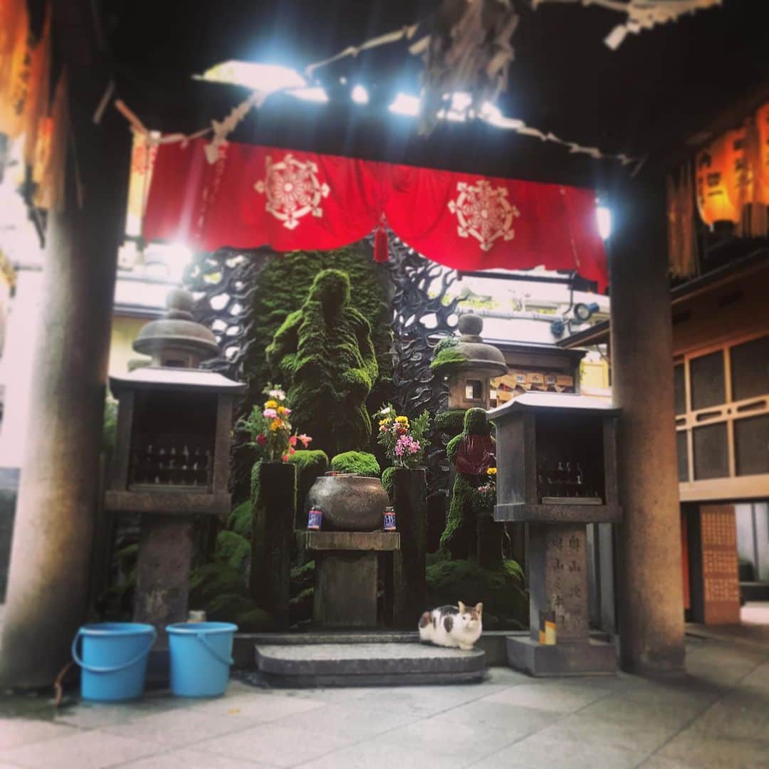 下野佐和子のグルメインスタ