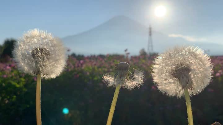 phantastic420のインスタグラム：「. 🤩🤩“Shizuoka” prefecture in Japan is a place where you can see the most “phantastic” Mt. Fuji🗻 in the world.🤩 #富士山 #mtfuji #japan #shizuoka #fujinomiya  #phantastic420photography #mostphantasticmtfuji #selamatpagi  #goodmorning  #おはようございます 😇😇😇😇😇😇😇🗻😇😇」