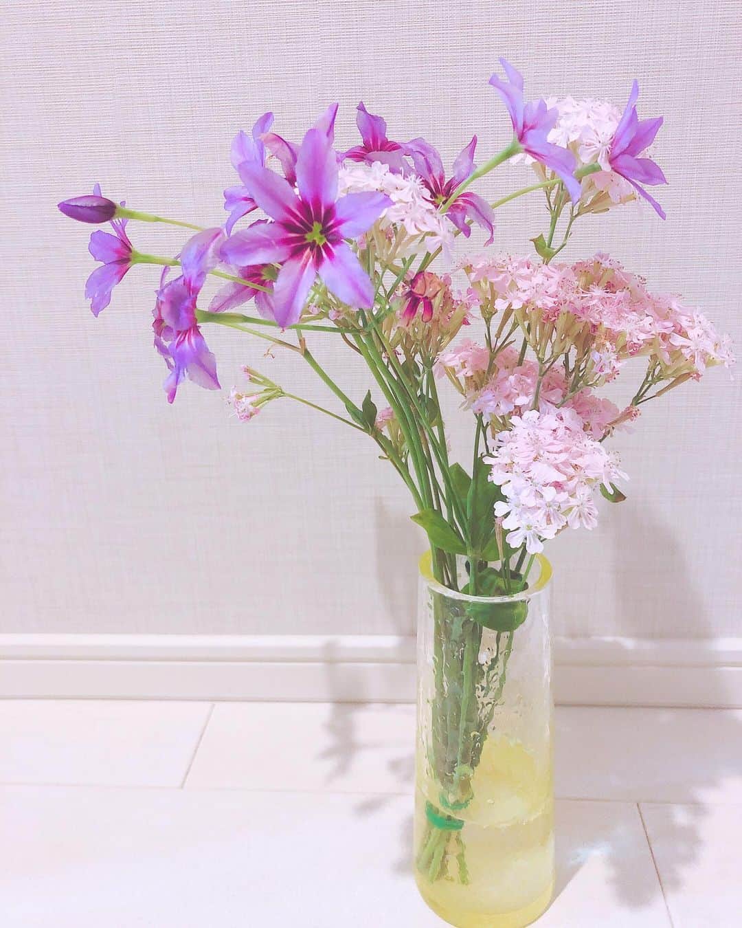 内田敦子のインスタグラム