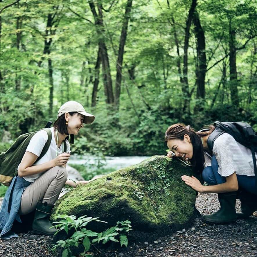 のインスタグラム：「苔（コケ）の世界へと誘われる宿泊プラン「苔ガールステイ」  Make your next girls' trip a green one, indulging in lush nature views and plant-inspired meals.  #星野リゾート #奥入瀬渓流ホテル #苔 #女子旅 #girlstrip #HoshinoResorts #oirase #spring #aomori」