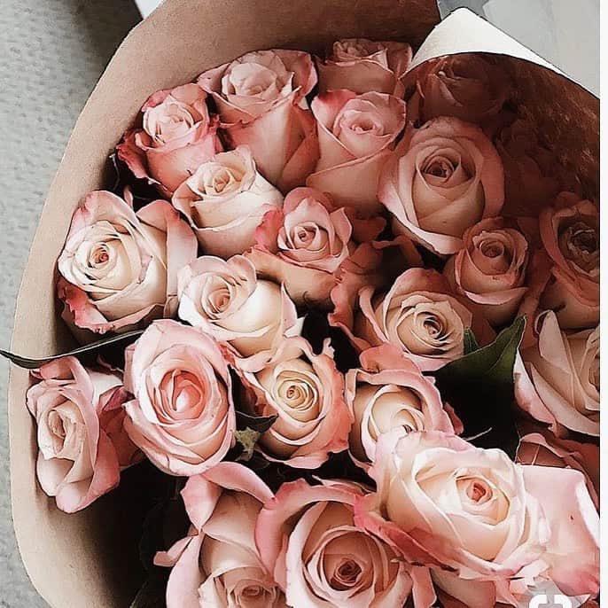 asami0510のインスタグラム：「🥀🥀🥀」