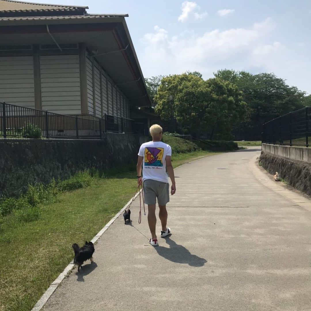 堤俊輔さんのインスタグラム写真 - (堤俊輔Instagram)「3姉妹とお散歩🐶  天気最高だったからめっちゃ気持ちよかった〜☀️ 3姉妹も喜んで散歩してました✨ @lunabluehawaii  のベッドに3姉妹🤩これは奇跡の一枚✨  #サッカー  #Jリーグ  #鹿児島ユナイテッドFC #鹿児島 #soccer  #jleague  #kagoshimaunitedfc #kagoshima #堤俊輔  #ツツスタグラム  #チェストー！ #勝手に鹿児島大使 #ttmproject  #共につなぐ未来  #チャリティtシャツ #チワワ #3姉妹 #ツツミアラレ #ツツミガッちゃん #ツツミディーバ #散歩 #ロングコートチワワ  #ツツミサンポ」5月7日 18時08分 - shunsuketsutsumi.19