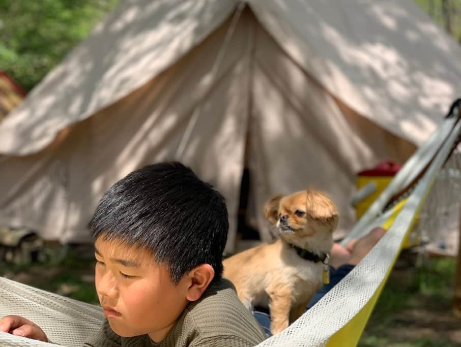 木部明美さんのインスタグラム写真 - (木部明美Instagram)「・ GWの思い出☺︎ ・ ・ Reiwa Camp 大家族キャンプ🏕 ＠赤城ひするまキャンプ場 みんなでマイムマイム踊ったり みんなでドッチボールやったり みんなで遊具で遊んだり 巨大チキンラーメン作ったり こころの令和結婚お祝いや 甥っ子の誕生日お祝いやったり🎊 お外でお祝い事ってイイね✌︎ はぁー楽しいGWでした☺︎ 今日からまた気を引き締めて頑張ります💪 ・ ・ #gw#キャンプ#camp#赤城山#いろんな出会いに感謝#令和キャンプ」5月7日 9時37分 - kibeburu