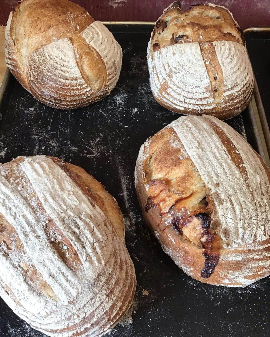 魔女菅原のグルメインスタ