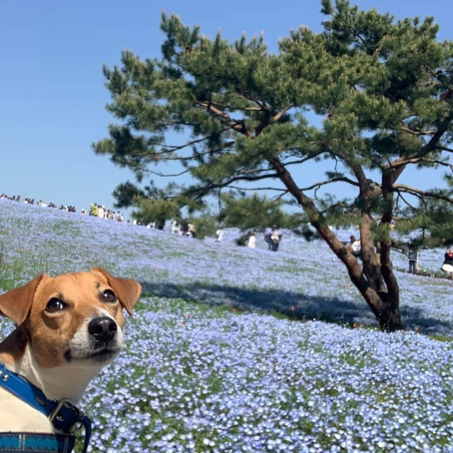 清浦夏実のインスタグラム