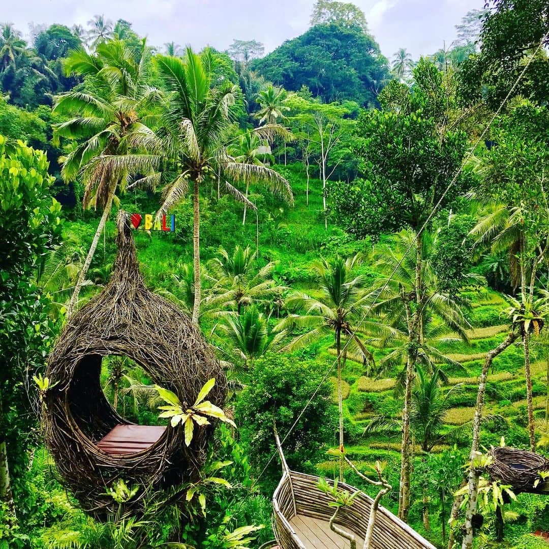 澤口麻理のインスタグラム：「#riceterrace #ubud #bali #🏝#🌴#indonesia #🇮🇩」