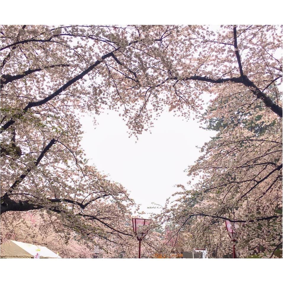西村みえこさんのインスタグラム写真 - (西村みえこInstagram)「色んなところへ行き 沢山充電出来ました🔌🌸🌳🌹☀️🌑 5月も駆け抜けるよう〜  #japan #tokyo #instagood #西村みえこ」5月7日 10時15分 - mieko_nishimura_
