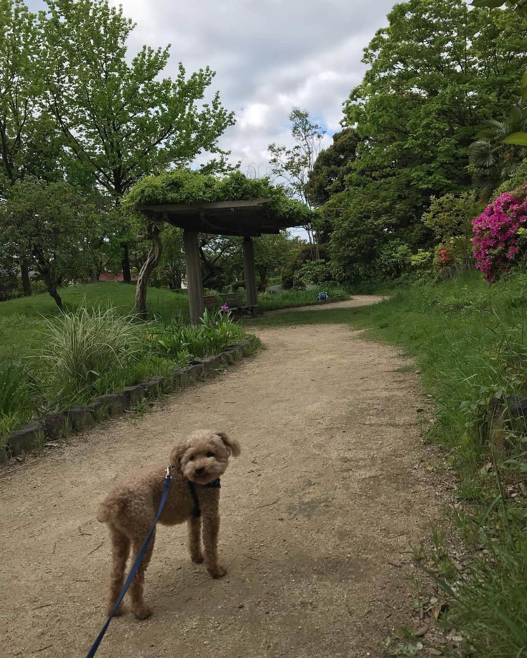 中島はるみさんのインスタグラム写真 - (中島はるみInstagram)「連休あけましたね。 今日からお仕事の方も多いかと思います。 リズムを戻して頑張りましょうね💓  #連休あけ #フィットネス再開 #朝の深呼吸」5月7日 10時19分 - harumi_nakajima