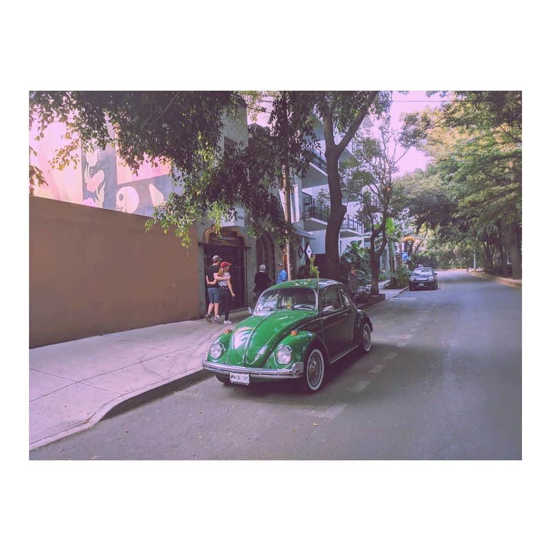 ブリジット・メンドラーさんのインスタグラム写真 - (ブリジット・メンドラーInstagram)「💜 Beautiful Mexico City 💜」5月7日 10時20分 - bridgitmendler
