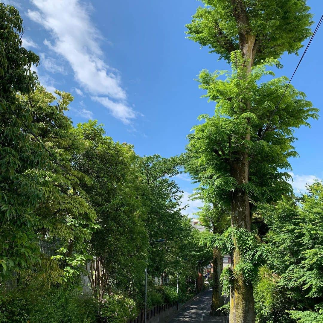 西田善太さんのインスタグラム写真 - (西田善太Instagram)「‪おはよう世界！ 東京は快晴、18度9度。坂の多い町でよかった、と毎朝思う。本日もはりきっていきますよぉ。‬」5月7日 10時20分 - zentanishida