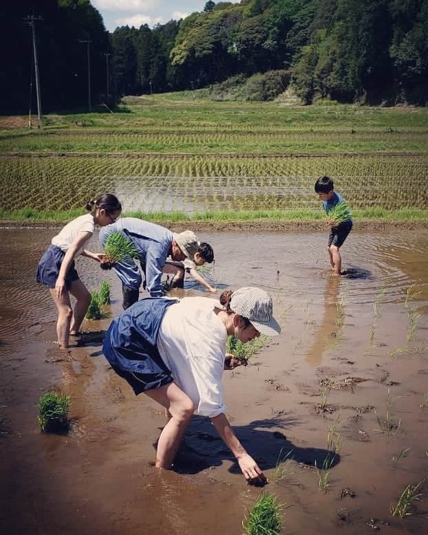 西山茉希さんのインスタグラム写真 - (西山茉希Instagram)「#コシヒカリ育ち #多古米植え  お土産もらいすぎ説。 大切に頂きます。  #♥️🙇♥️ #山が庭 #初体験 #初対面 #渋谷ーランド  ありがとうじゃ足りない日記。」5月7日 10時28分 - maki.nshiyama50