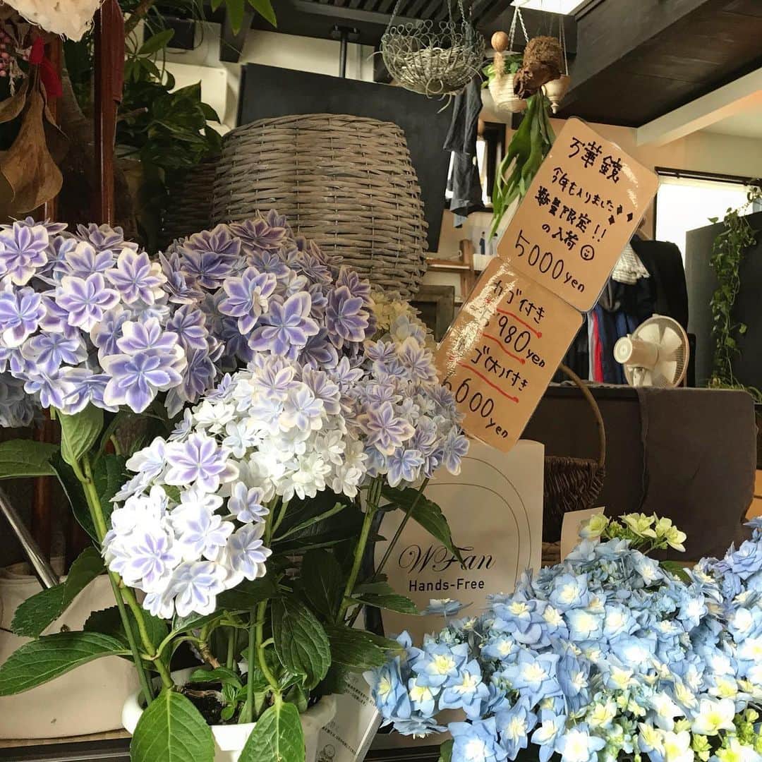 MILLE ECLAT.のグルメインスタ