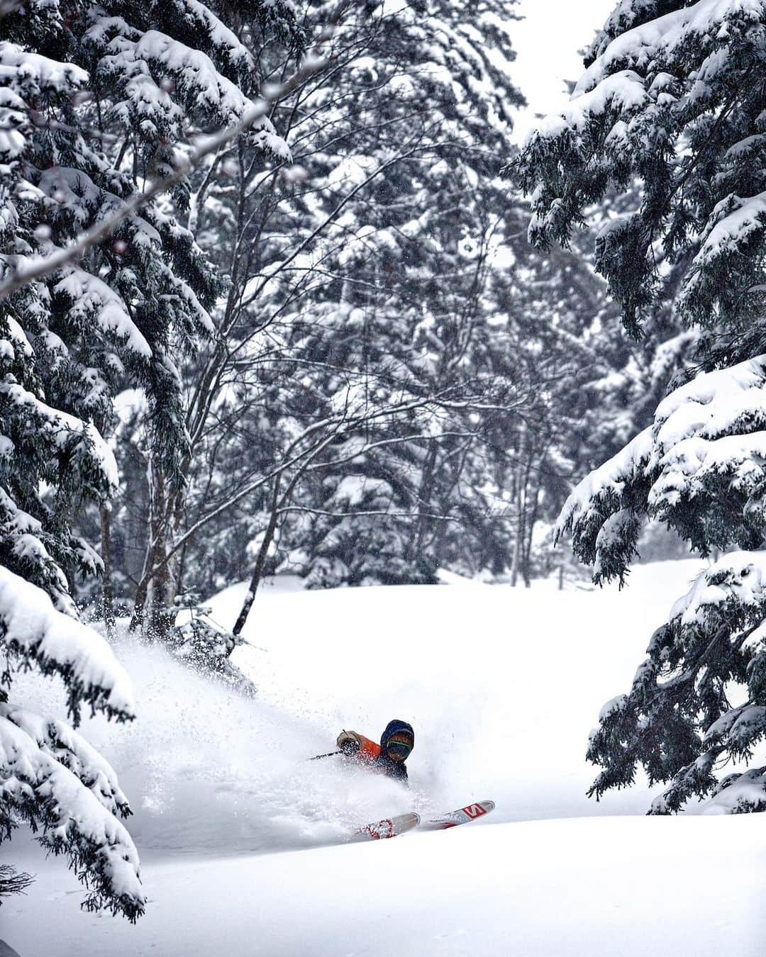 佐々木明さんのインスタグラム写真 - (佐々木明Instagram)「Photographer📸 / Key Sato 数年前の古い板なんだけど、乗り味がまた今の最新と違ってこれはこれでスタイルが変わって楽しいよね。 #Hokkaido #winter #snow #ski #powder #snowaddict #trip #travel #japan #visitjapan」5月7日 11時02分 - akiraexploring