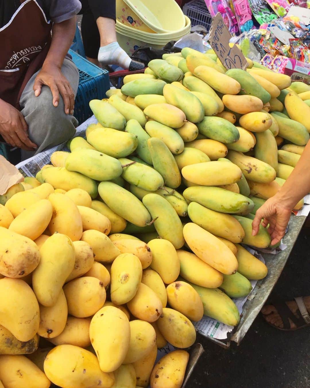 tamatamagoさんのインスタグラム写真 - (tamatamagoInstagram)「Mango 🥭 season has come 💖 . . タイにマンゴーの季節がやって来ました🎉🎉 果物好きな方はこの時期に来タイすると楽しいかも😃💕 . .  写真は「マハチャノック」と言う種類で、私はこれが結構好き☺️ 今は「ナムドークマーイ」日本では「花のしずく」って言うのかな、その種類がタネも薄く食べやすい味で人気だけど、なんか「私、マンゴーです🙂」って良い子ちゃんな感じ😆  一方私の好きなマハチャノックちゃんは熟れて来た時の香りとかが「マンゴーでっせ〜〜！！！！！」「香って来てまっせ〜‼️」と積極的な感じ🤣🤣🤣 . .  そうね、例えるならハナちゃんぽい🤣 誰からも愛されるタイプのハニたんは、ナムドークマーイタイプね😆 . .  今日のも美味しかったぁ〜〜😋😋😋 . .  2019/05/07 . .  #ゴールデンレトリバー #マンゴー #タイ #レトリバー #大型犬 #病気と闘ってるお友達に届け元気玉🔴💪🏻 #ワンコがいてもニャンコと暮らせる #goldenretriever #dogs_of_instagram」5月7日 11時11分 - tamatamago