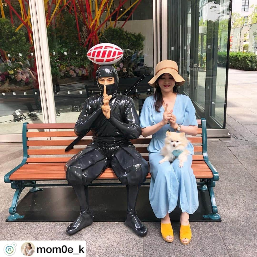 MEET at Marunouchiさんのインスタグラム写真 - (MEET at MarunouchiInstagram)「#repost @mom0e_k . 研修から帰ってきたら 完全に浦島太郎状態⛩🐢💦 ・ 令和元年で日本中がお祭りムードだったんだね❣️ ・ こっちゃんはわたしがいない間体調不良で病院通いだったみたい。 ・ 体調はあまりよくありませんが、ココアがお出かけのときにキュンキュン鳴いて行きたがったので、少しの時間だけ丸の内散歩🚶‍♀️🐩✨ ・ 今日はほとんど抱っこちゃん🤱 ・ #令和はじまるまるのうち  @marunouchi_com #丸の内GW #丸の内ドットコム #リーチマイケル #忍者ベンチ #ザラジョ #ぽめらにあん部 #ポメラニア#いぬばか部 #いぬら部 #ラグビー #pom #pomeranian #pomestagram #dogsofinstagram #doglovers #marunouchi #happyreiwa #ninja #rugby」5月7日 11時55分 - marunouchi_com