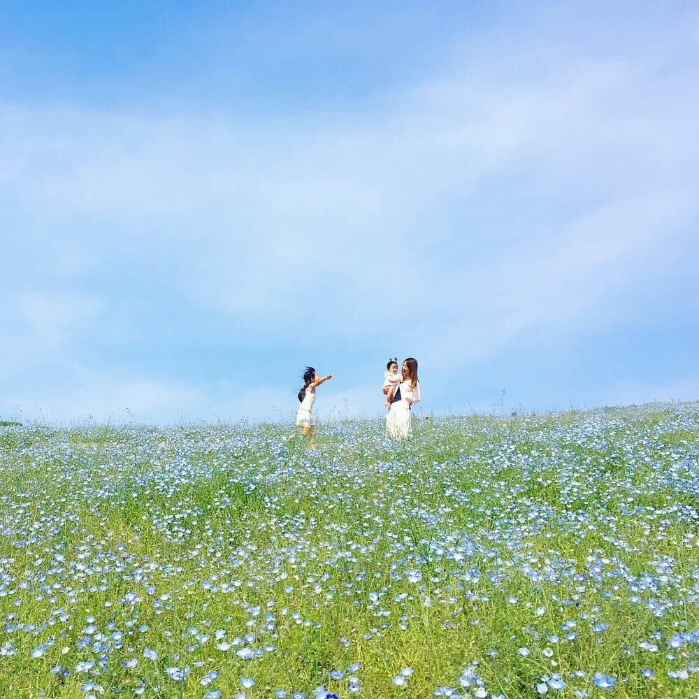 JTのインスタグラム：「. ＜「ひとのときを、想う。」Instagramフォトコンテスト、心に残る応募作品をご紹介 ＞ - 空と花々の青さに目を奪われる、春のさわやかな“ひととき”を応募してくださったのは @akira_wkさん💠 - 「家族４人でいられる幸せを感じるままに撮りました」と、かけがえのない家族への想いも伝わってくるコメントをいただきました。 - これからも @jt_official.jp では、「ひとのときを、想う。」をテーマに皆さんの“大切なひととき”や“かけがえのない時間”に彩りを添えられるような情報をお届けしていきます🍀 - #ひとのときを想う　#JT　#素敵な作品ありがとうございます　#応募作品　#フォトコンテスト　#ネモフィラ #花畑 #ひととき　#写真好きな人と繋がりたい　#東京カメラ部　#tokyocameraclub」