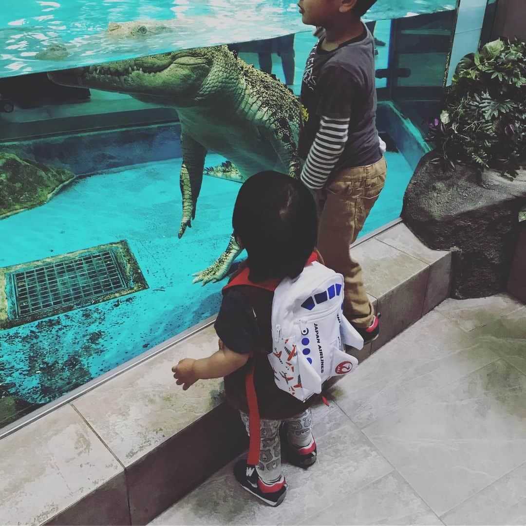 やまもとりえさんのインスタグラム写真 - (やまもとりえInstagram)5月7日 12時11分 - rinpotage