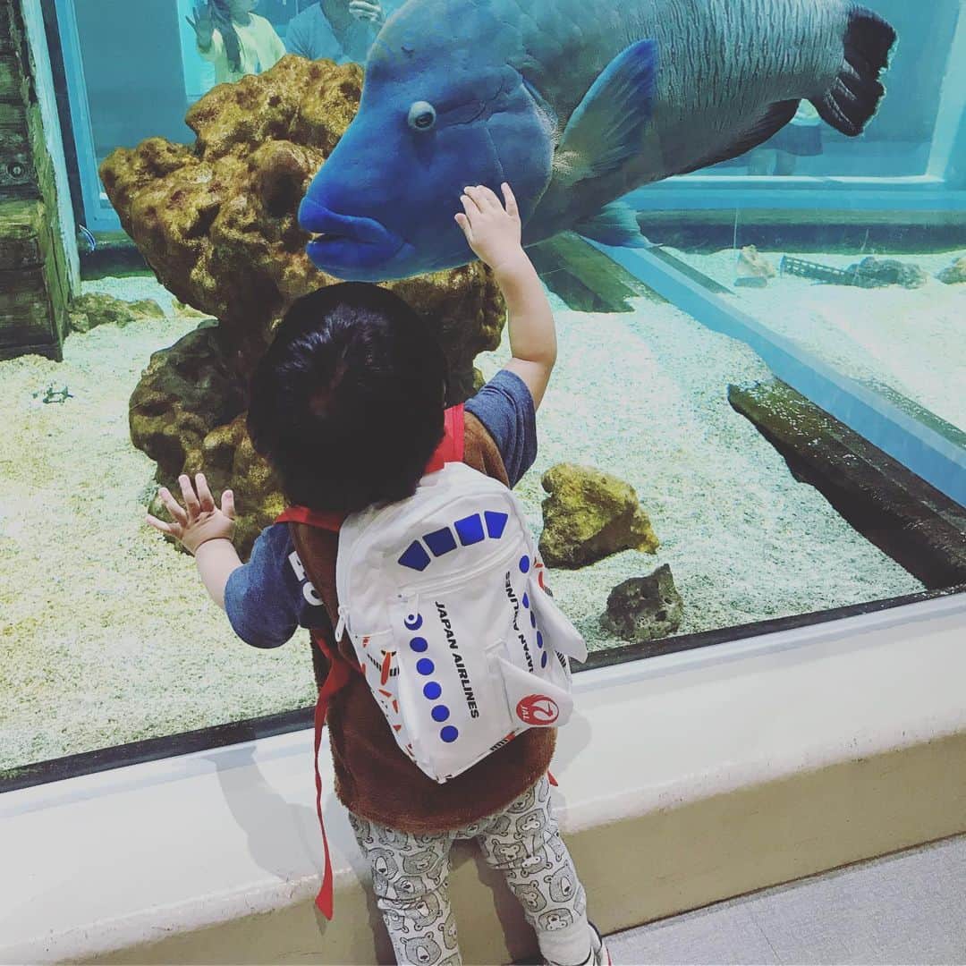 やまもとりえさんのインスタグラム写真 - (やまもとりえInstagram)5月7日 12時11分 - rinpotage
