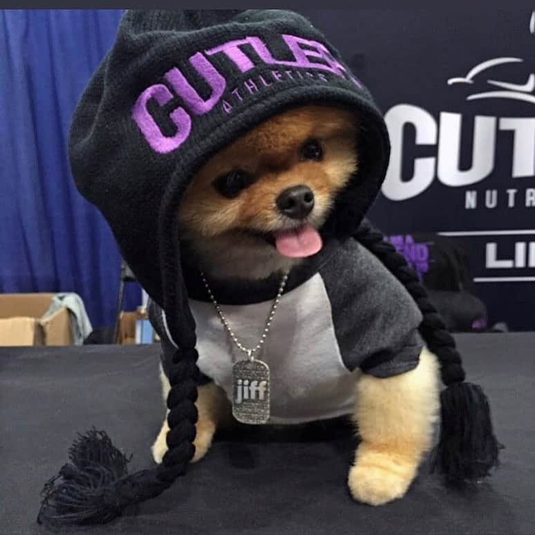 jiffさんのインスタグラム写真 - (jiffInstagram)「@jaycutler 💜」5月7日 12時04分 - jiffpom