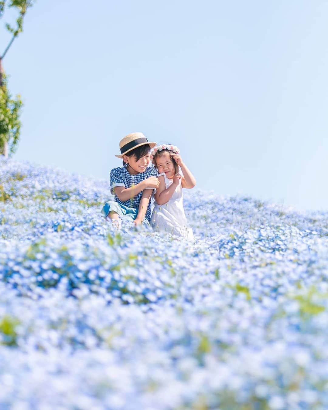 のインスタグラム：「今週もよろしくお願いします😊 現在、「春」をテーマにお写真・動画を募集中です✨ 本日の #タビスルキッズ はこちら💕 📷 @yokotannuuuuuuさん 🚩大阪府・大阪市 「大阪まいしまシーサイドパーク」 🎙ご本人コメント 念願のネモフィラ畑♡♡ 暑くって人も多かったけど キッズパークでも沢山遊んで楽しかったね！ . 子供はお花に興味ないだろうけど 広大なブルーのお花畑と その向こうに見えた海の美しい景色が 少しでも記憶に残ってくれていたらいいな😊 . . ※お花畑の中ではなく通路に座っています。 ﻿﻿﻿﻿＊＊＊＊＊＊ きっと記憶に残る春限定のステキな光景ですね✨ いつも、カワイイお写真ありがとうございます💕」