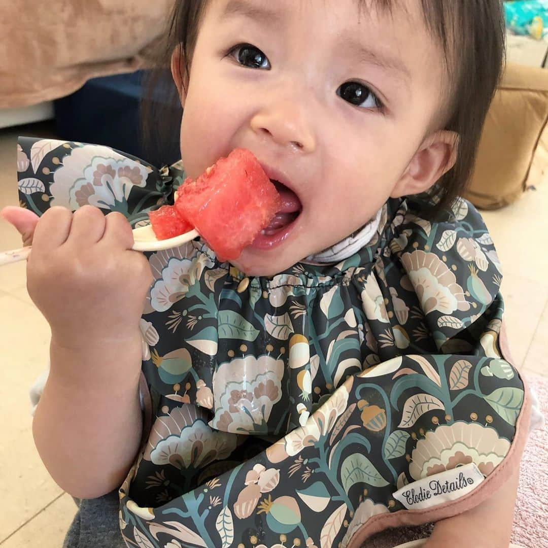 宇佐美蘭さんのインスタグラム写真 - (宇佐美蘭Instagram)「鬼(姉)の居ぬ間にスイカ🍉﻿ お姉ちゃん独り占めしようとするからね😂﻿ 存分にお食べ☺️💓👌﻿ .﻿ 前に質問たくさん頂いたこのスタイはElodie Detailsのものです🍼ドイツで買ったものだから日本に売ってるかわからないけど…😵気に入ってます🥰💗﻿ #赤ちゃん#1歳1ヶ月#スイカ#🍉#elodiedetails#スタイ#お食事エプロン#エロディーディテールズ」5月7日 12時47分 - usamiran_official