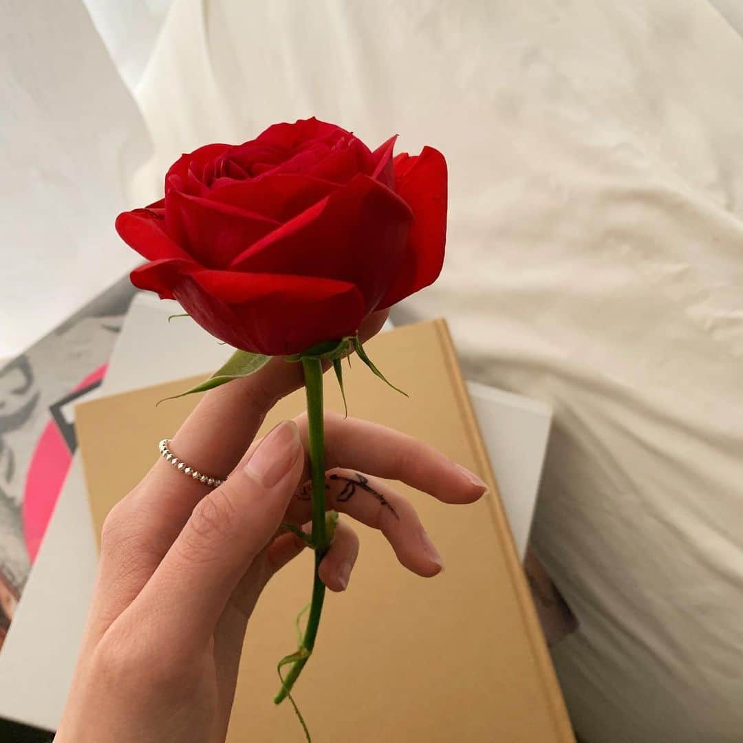 泉見祐希のインスタグラム：「🥀」