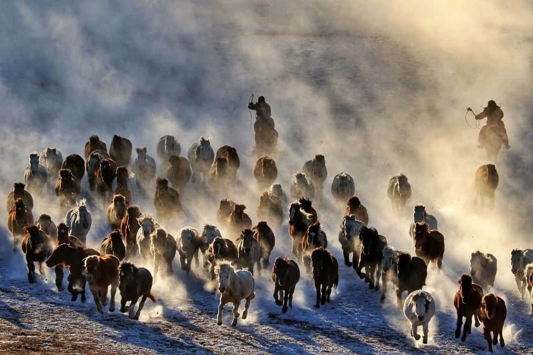 Canon Asiaのインスタグラム：「Braving the subzero temperatures of -35°C ☃️ Peng Kee caught this misty shot of horses 🐴 being rounded up in Mongolia.  Attempting to shoot in cold weather? Do remember to bring a camera bag to protect your equipment from the freezing temperature 🥶 and only fish it out when you’re ready to shoot.  Learn more tips and tricks for shooting in cold weather, link in bio ❄️ • 📷 Image by Teoh Peng Kee (http://www.teohpengkee.com/) shot using the Canon EOS R | f/9 | 1/1250s | ISO 640 | 280mm  Want your photos to be featured too? Tag them with #canonasia or submit them on My Canon Story, link in bio!  #canonasia #photography #coldweatherphotography #coldweather #mongolia #asia #landscape #landscapephotography #travelphotography #travel」