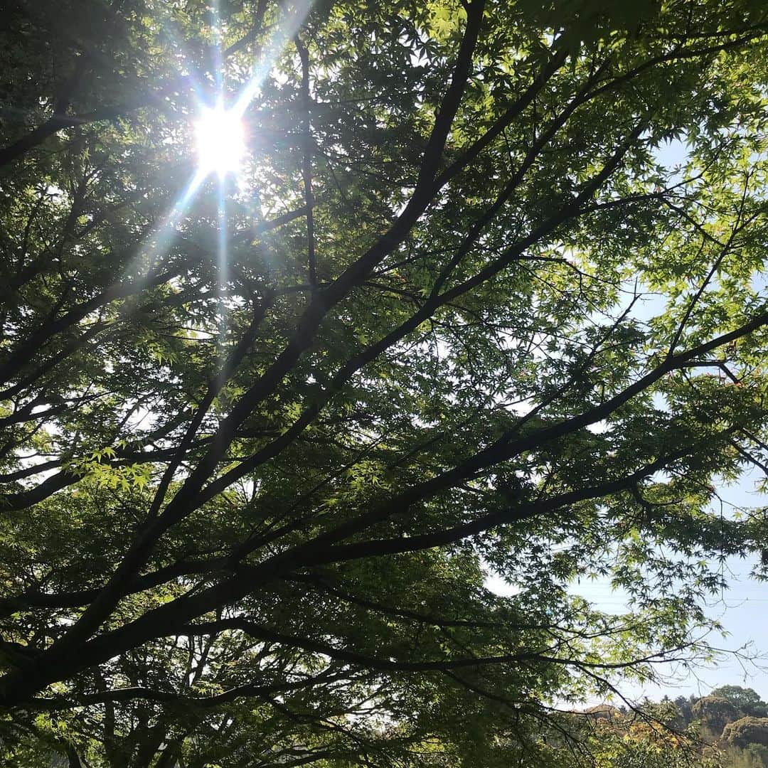 今田美奈さんのインスタグラム写真 - (今田美奈Instagram)「🌳🍃自然の中が一番癒される🍀🌳」5月7日 13時05分 - _minaimd.j_