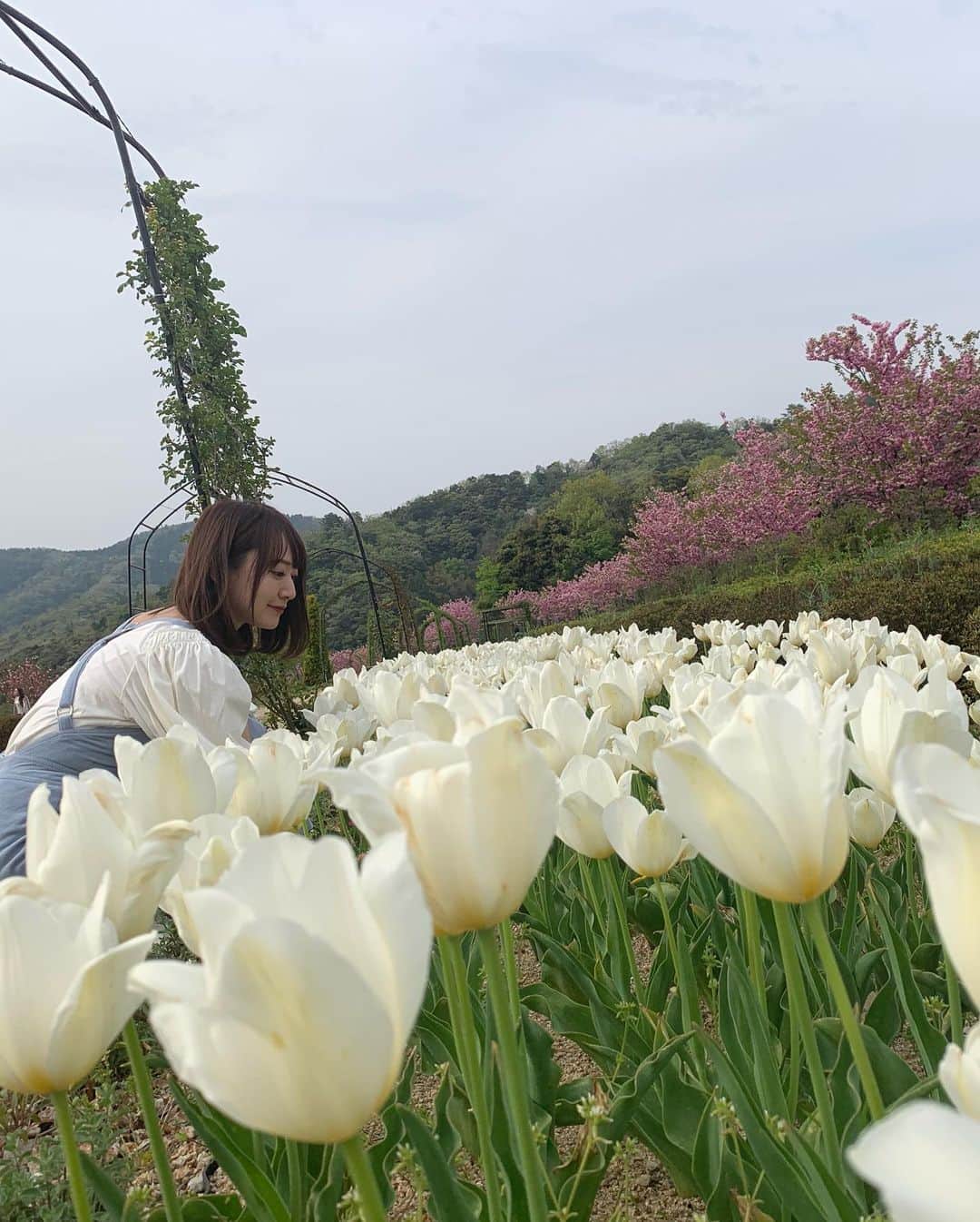 浜田翔子さんのインスタグラム写真 - (浜田翔子Instagram)「🍓🍓🍓#京丹後 #いちご狩り したことない。 🍓🍓🍓」5月7日 13時06分 - shoko_hamada