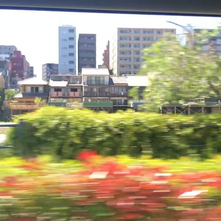 中嶋ユキノのインスタグラム