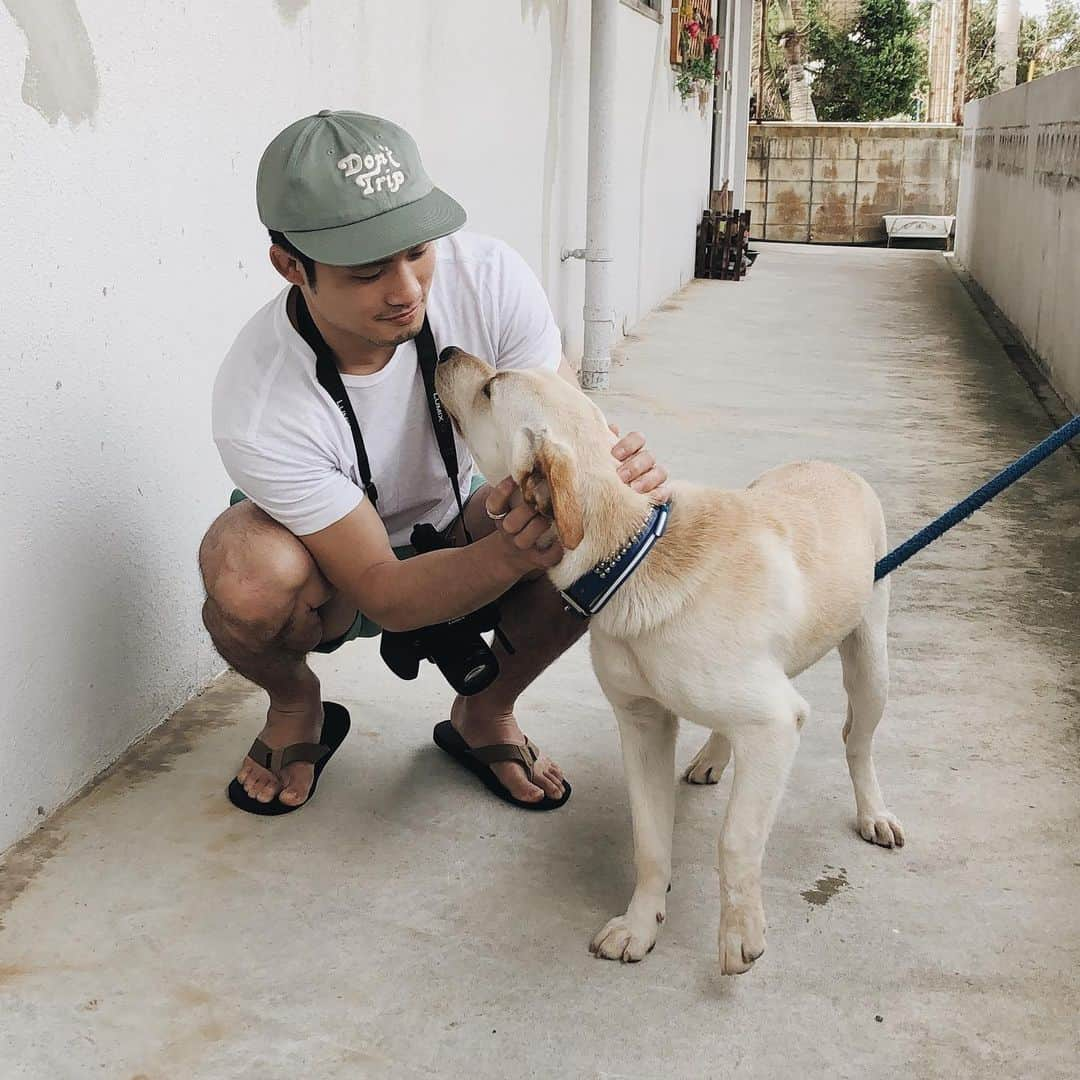 丸山城志郎さんのインスタグラム写真 - (丸山城志郎Instagram)「🐕 #沖縄#okinawa#trip#travel#南城市#dayoff#犬」5月7日 14時14分 - joshiromaruyama