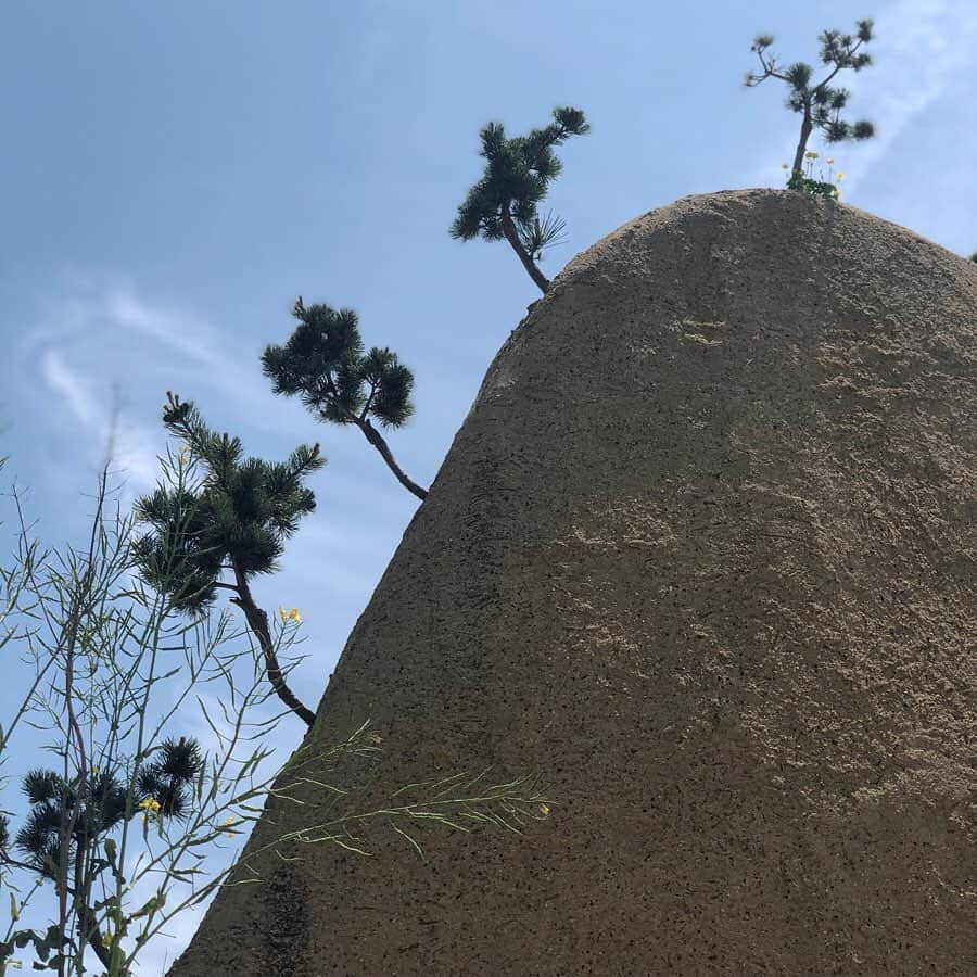 山﨑さおりのグルメインスタ