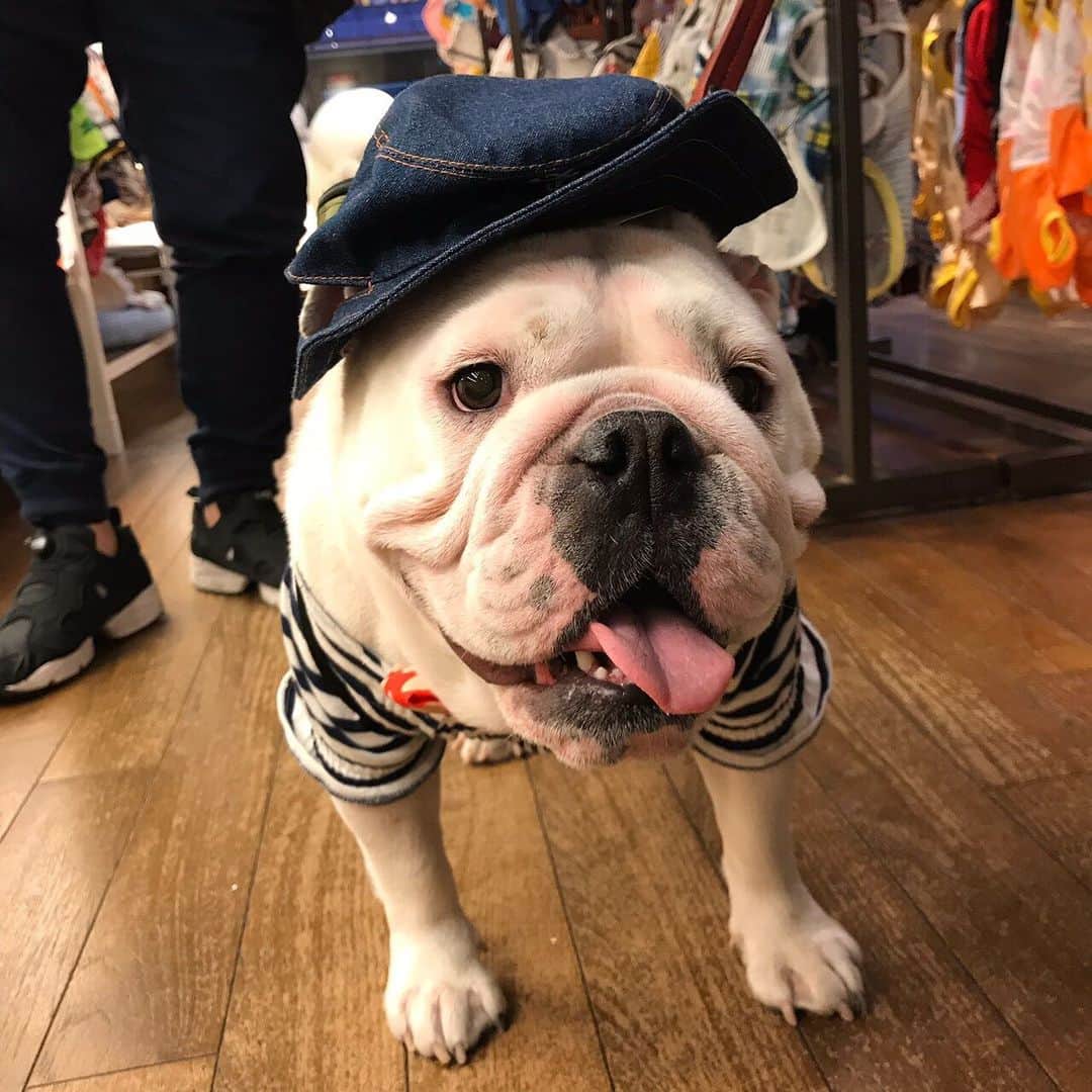 堀田祐美子のグルメインスタ