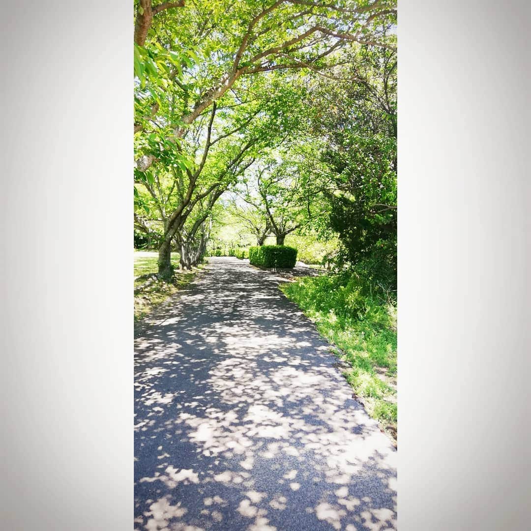 松本隆博のインスタグラム：「。 宇佐市なう こんなのんびりとした 風景があちらこちらに あるんだヽ(^o^)丿 ……創作意欲が沸く街。」