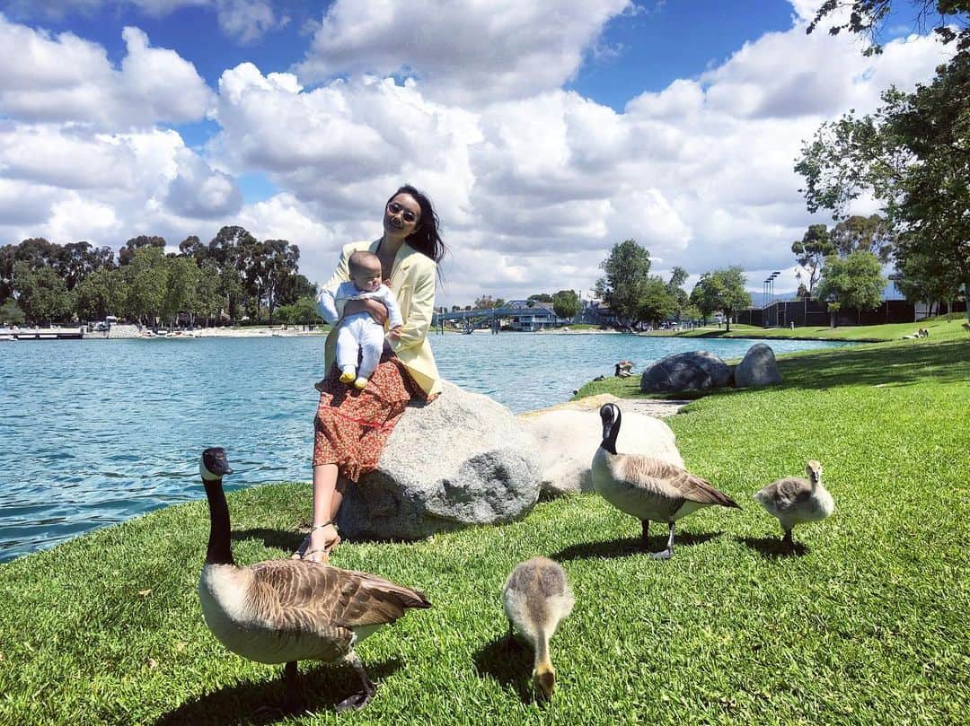 ルピン・ワンのインスタグラム：「鸭妈妈带着小鸭宝 我带着小灵宝🌞🌸💙」
