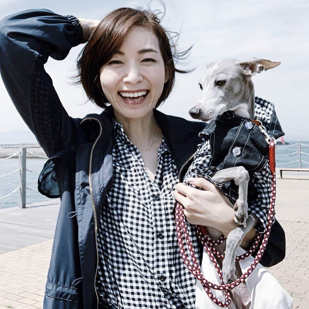 のインスタグラム：「* ******** We are always together! 🐕💕🙆‍♀️ * GWは、駅前で行われていたビアフェスにほぼ毎日ハウルと顔を出していました😂🍺 沢山の方に触ってもらい、2日目にはお店の方にもすっかり覚えていただいて…大分に来て初めてのGWは、とても楽しく幸せな思い出になりました🥰❤️ ******** #イタグレ#イタリアングレーハウンド#italiangreyhound#dogstagram#イタグレとの暮らし#iggy#iggygram #iggylove#iggylife#いぬのいる暮らし#犬のいる暮らし#いぬバカ部#イタグレ服#iggysoftheworld #iggysofinstagram #dogsofig #dogsofinstagram #プチプラコーデ #犬好きな人と繋がりたい#オシャレさんと繋がりたい#犬服ハンドメイド#リンクコーデ#大分県#oita#おんせん県#おんせん県おおいた#oita_pride #oitagram#oitaprefecture」