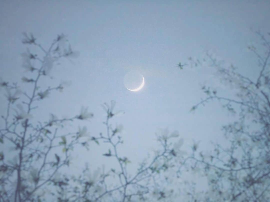naorinmoonのインスタグラム