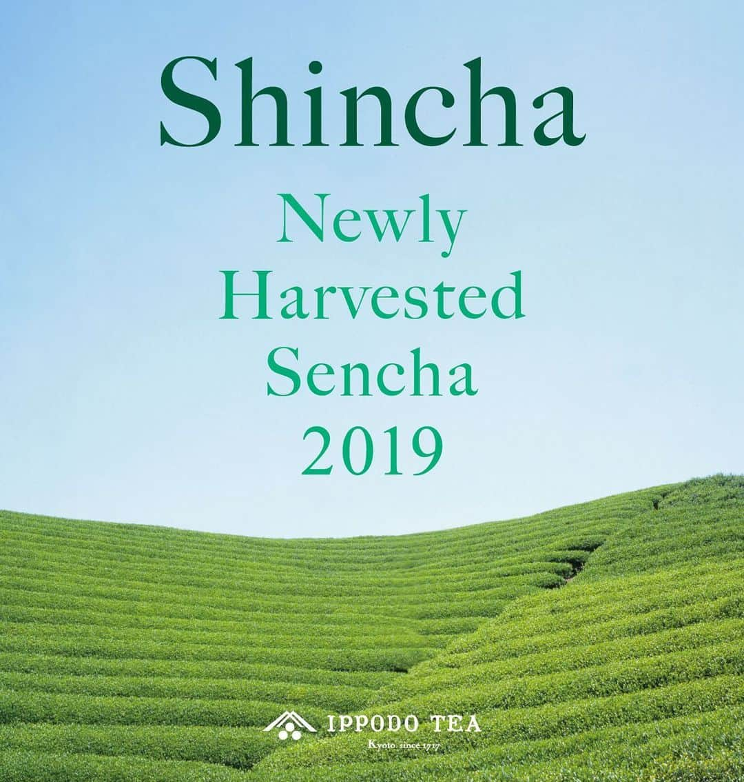 一保堂茶舗さんのインスタグラム写真 - (一保堂茶舗Instagram)「Coming soon! Shincha 2019 Available May 12th. 2019年の新茶、5/12(日)に全国発売いたします！ #ippodotea #shincha #kyoto #teatime #greentea #newlyharvestedsencha #一保堂 #2019新茶」5月7日 18時28分 - ippodotea