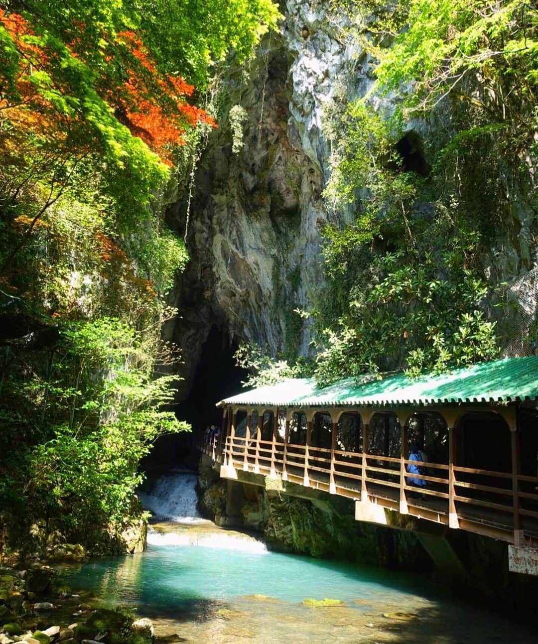 旅行比較サイト・トラベルコ 理想の旅を、いちばん安く。のグルメインスタ