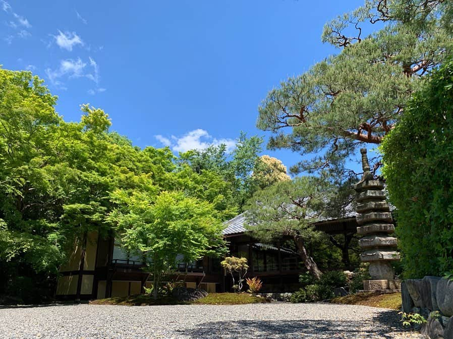 上坂由莉さんのインスタグラム写真 - (上坂由莉Instagram)「. . 翠嵐で泊まったお部屋には 大きな日本庭園や露天風呂もあって 風通りもよく心地良かったです😌 心も身体も開放されたぁ〜🍃🍃 . #翠嵐ラグジュアリーコレクションホテル京都 #スイートルーム #京都 #翠嵐 #嵐山 #日本庭園」5月7日 19時37分 - yuri_yoga.727