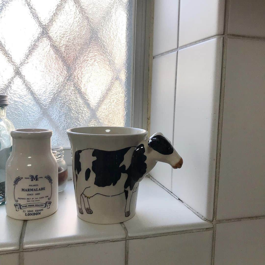 渡辺妃香さんのインスタグラム写真 - (渡辺妃香Instagram)「. 🐄 #アーカイブ」5月7日 19時53分 - watanabe_himeka