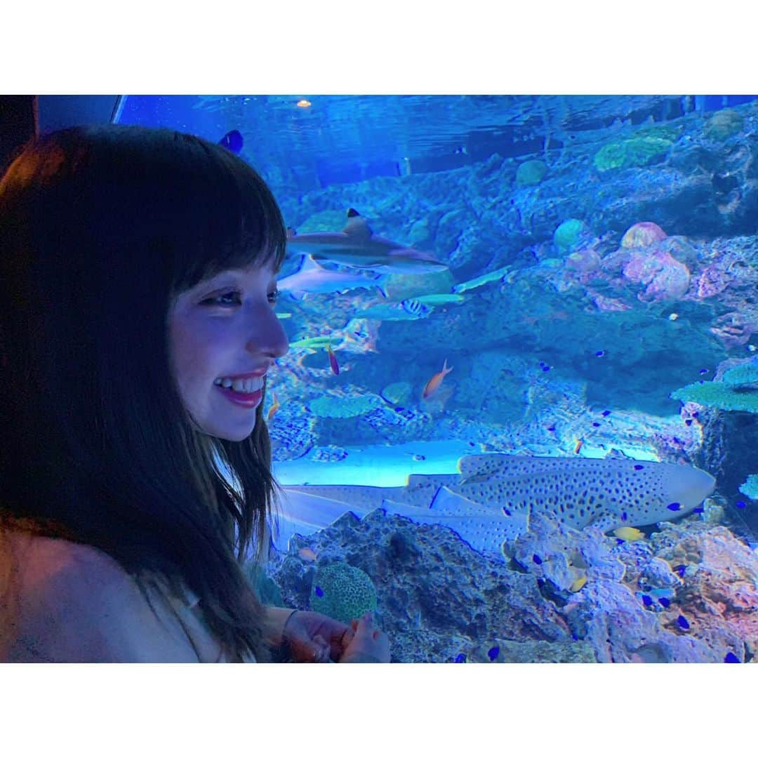 平尾優美花（ゆみちぃ）さんのインスタグラム写真 - (平尾優美花（ゆみちぃ）Instagram)「５億年ぶりの水族館🐳🌎」5月7日 20時28分 - hirao_yumika