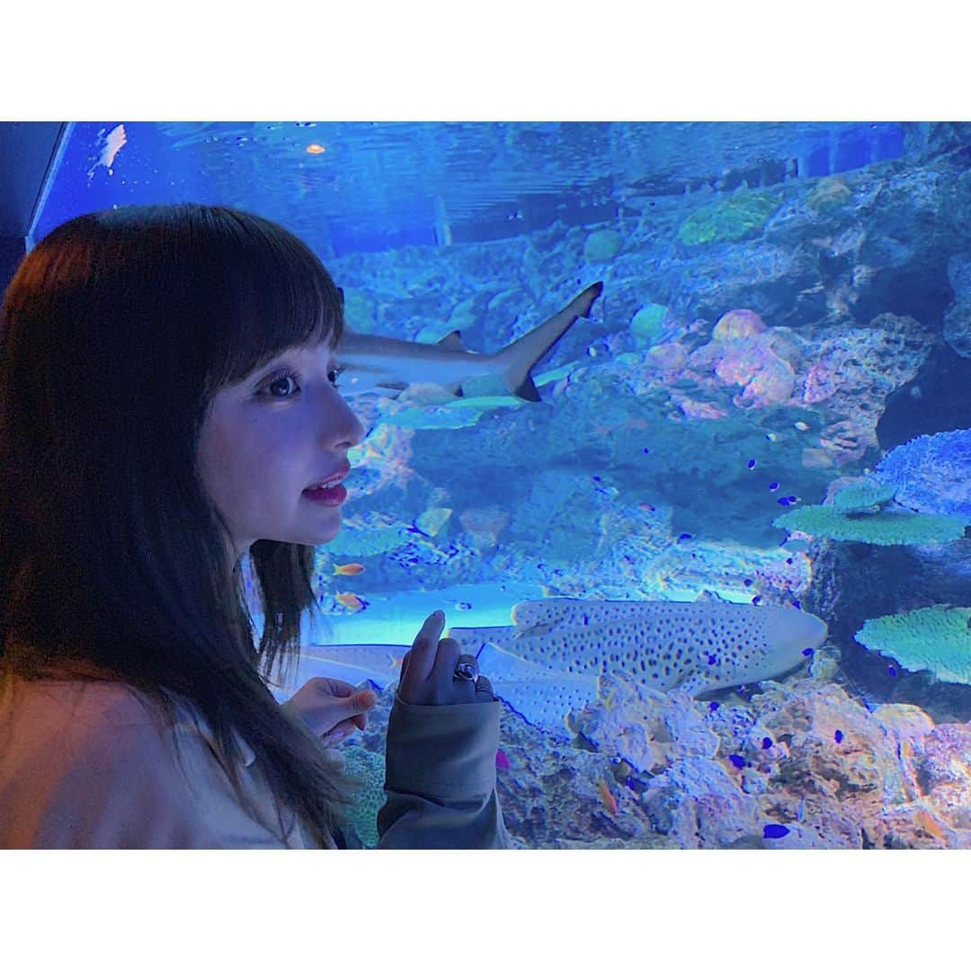 平尾優美花（ゆみちぃ）さんのインスタグラム写真 - (平尾優美花（ゆみちぃ）Instagram)「５億年ぶりの水族館🐳🌎」5月7日 20時28分 - hirao_yumika