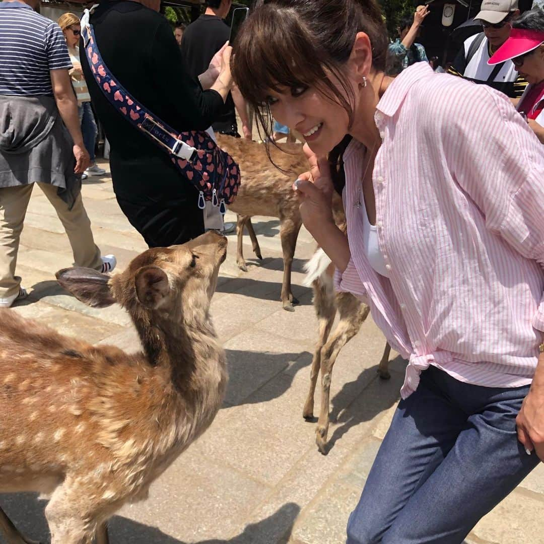 山田佳子のインスタグラム