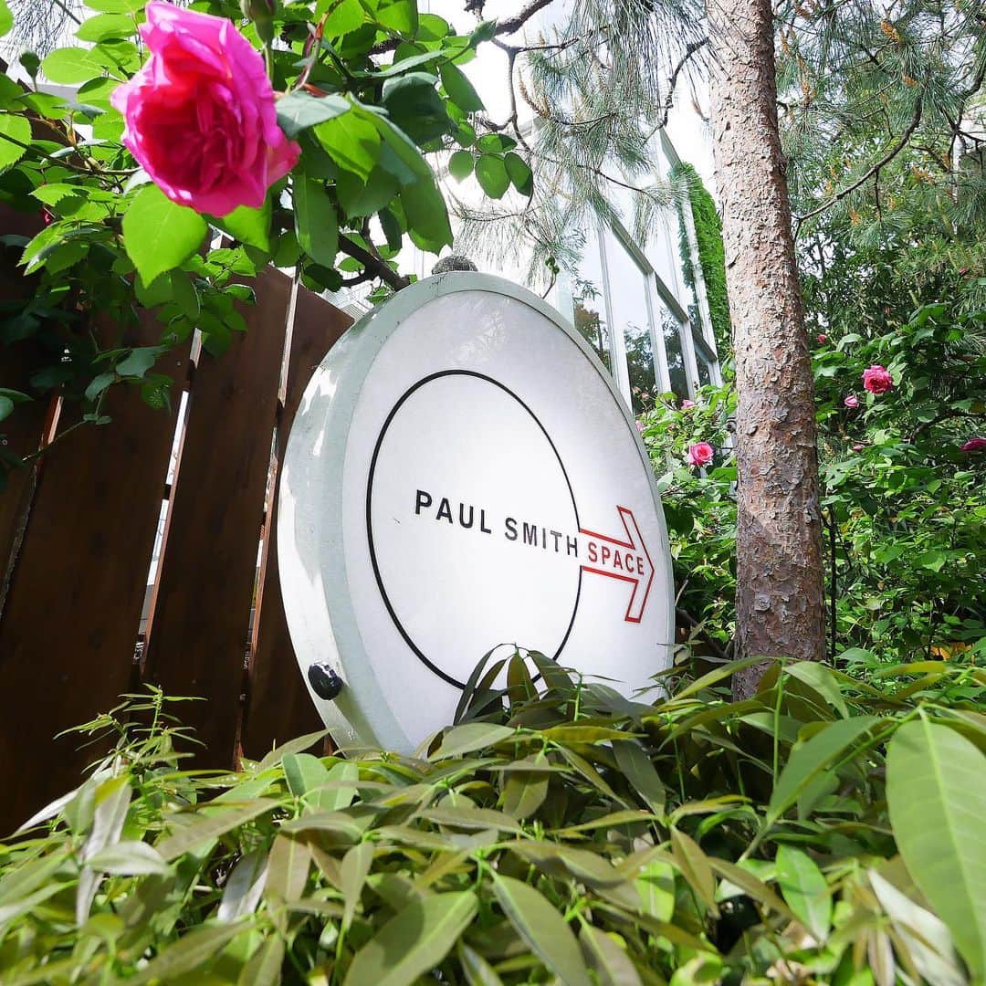 Paul Smith Japanさんのインスタグラム写真 - (Paul Smith JapanInstagram)「Paul Smith SPACE (東京都渋谷区神宮前5-46-14)の前庭には今年もデザイナー ポール・スミスの名前を冠した特別なバラ、Sir Paul Smithが咲きました。 . このバラはポールの妻ポーリーンが、ポールの誕生日である7月5日に誕生日のギフトとして特別に開発を依頼し、ポールにプレゼントしたもの。 . 見頃を迎えるこの時期に、ぜひショップにお立ち寄りください。 . . . #PaulSmith #SirPaulSmith #rose #PaulSmithSPACE #Tokyo  #ポールスミス #薔薇」5月7日 20時32分 - paulsmithjapan