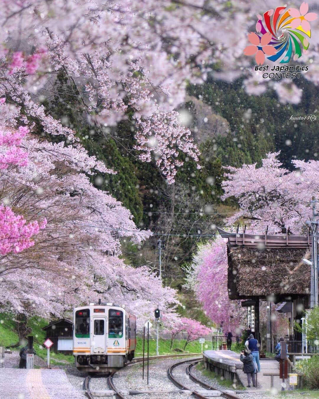 Follow & use #bestjapanpicsさんのインスタグラム写真 - (Follow & use #bestjapanpicsInstagram)「🌸2019年桜 二部🌸 . @bestjapanpics_  selection . 👑CONGRATS to @kuuto1469 👑 おめでとうございます🎉🎉 素晴らしい桜のお写真でご参加頂きありがとうございました✨✨ . #bestjapanpic_桜2019二部 . 📷 chosen by  @yurie.0101 (Mod) FOUNDER: @quelmarietto LOCALITY: 福島県 CATEGORY: #桜 #電車 #駅 . . •follow us @bestjapanpics_ . •use #bestjapanpics . 撮影地の都道府県をキャプション・コメントタグ・ジオタグのいずれかに入れて下さい。 . @bestjapanpics_ では、日本で撮られた素敵なお写真へのタグ付けをお待ちしています✨ . Select the amazing photos every day. ダグ付けをして頂いた中から、毎日素晴らしい写真を選出させていただきます👑 . . #JAPAN #日本 #風景 #夕焼け #夜景 #海 #自然 #モノクロ #ポートレート . #art_of_japan_ #as_archive #daily_photo_jpn #icu_japan #jp_gallery #kids_japan #phos_japan #picture_to_keep #ray_moment #s_shot #kf_gallery」5月7日 20時45分 - bestjapanpics_