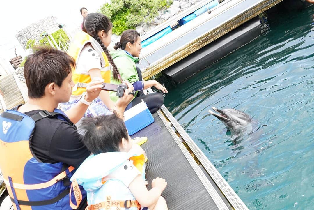 涼紫央さんのインスタグラム写真 - (涼紫央Instagram)「イルカの素直さにも感動 かわいくてかわいくて涙が出ました」5月7日 20時45分 - toitoitoi